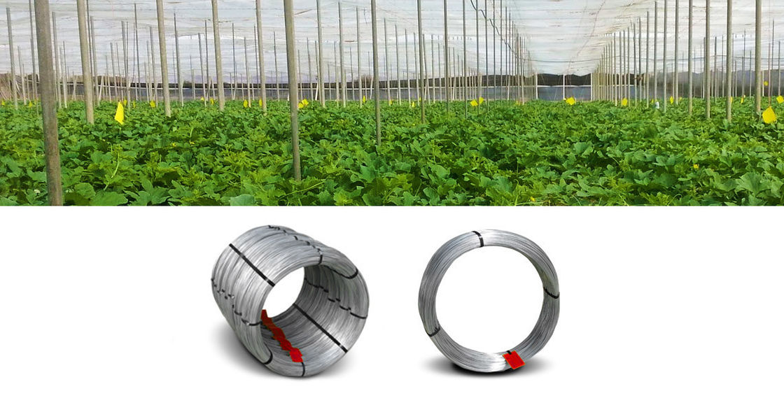 Zinc - Coated Stranded Steel Cable For Agricultural Greenhouse , Longlife